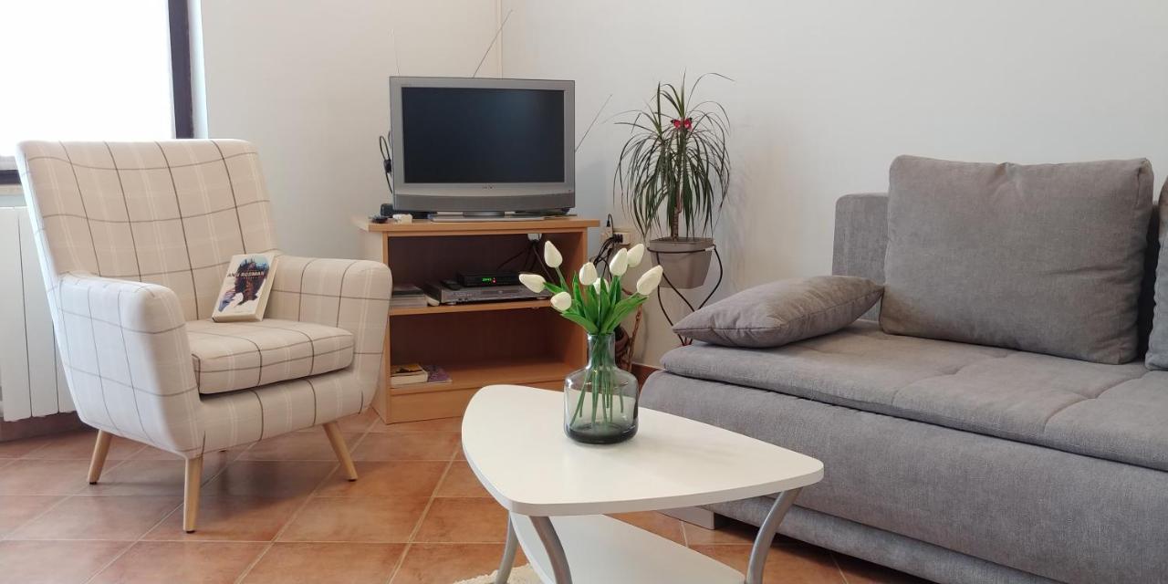 Apartment Fabris Roč Extérieur photo